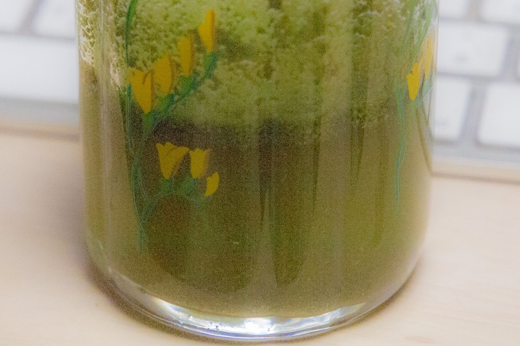 moringa_cup_ura