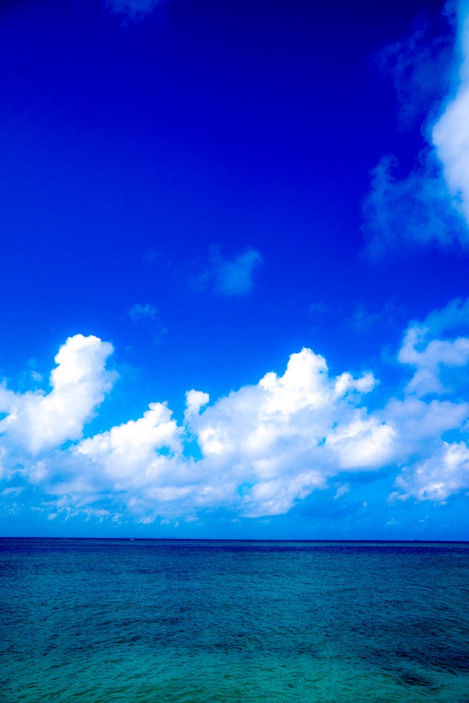 sea_shinzato