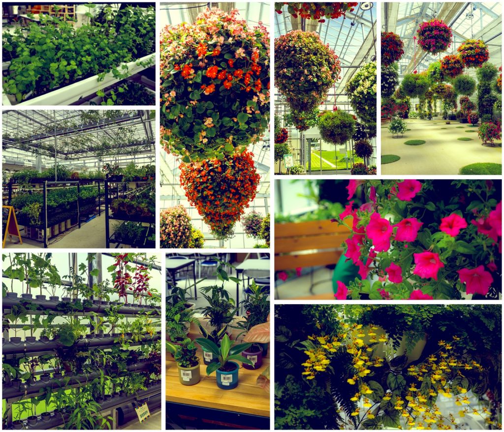 collage_superfarm_agripark