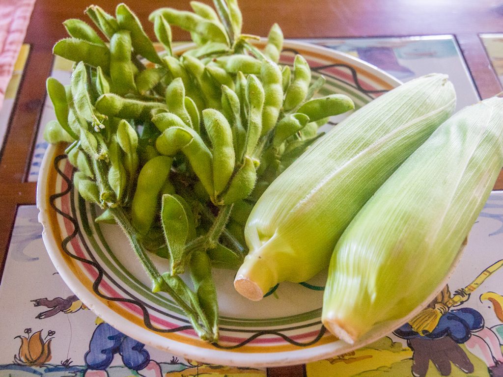 corn_edamame_agripark