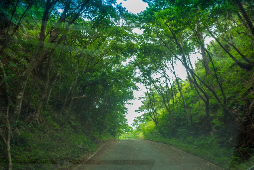 road2_sokobaru