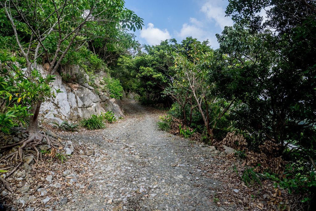 backroad_uragushikumui160819