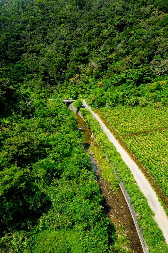 scene_hutami_tunnel_gushikumui160902