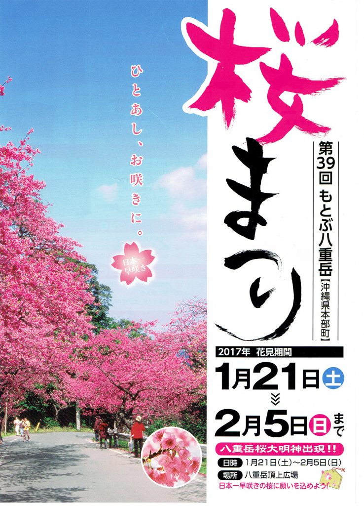 sakura_fes_info