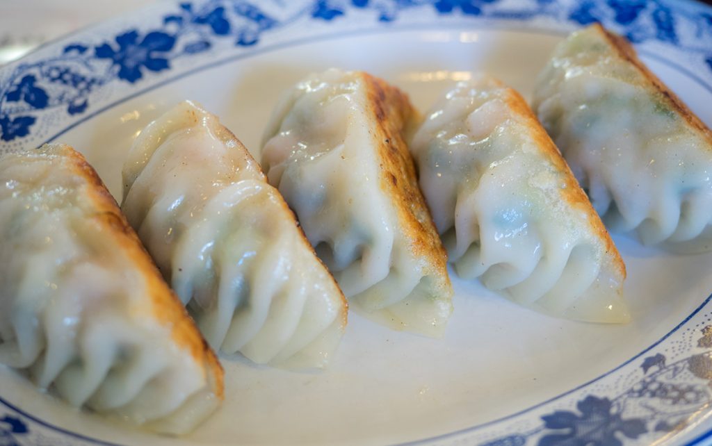 gyoza2_kin