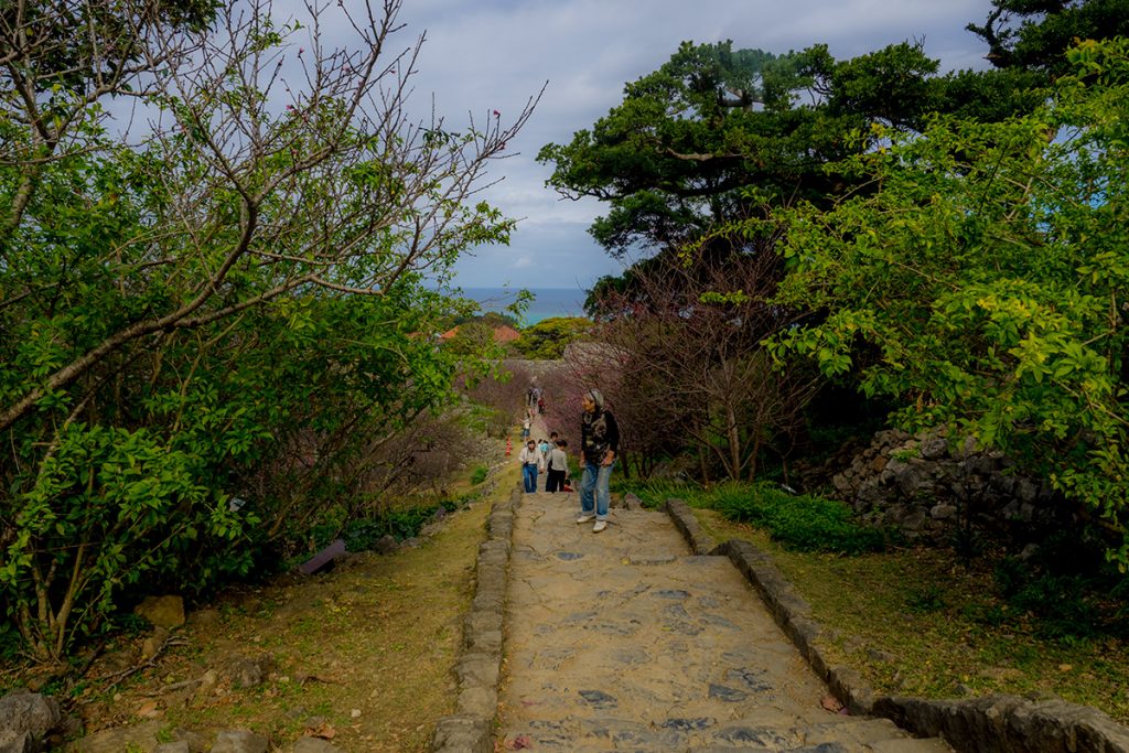 sakura13_nakijincastle170129