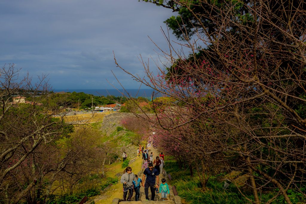 sakura30_nakijincastle170129